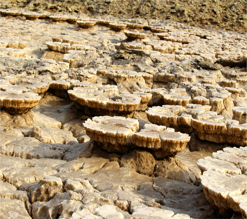 Weird, mushroom like concretions discovered at the Danakil Depression. Image: Felipe Gomez/Europlanet 2020 RI